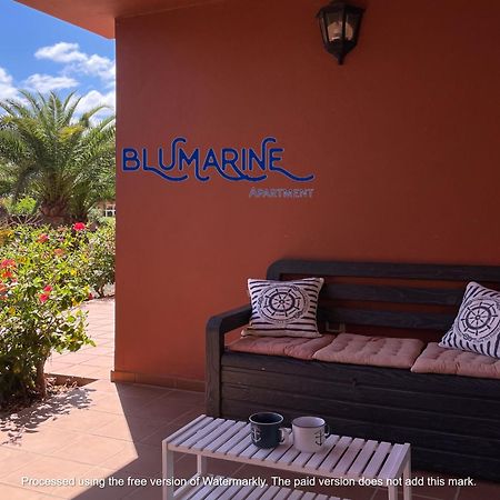 Apartmán Tamarindo Blumarine - Pool & Wifi Free 4 Persons Corralejo Exteriér fotografie