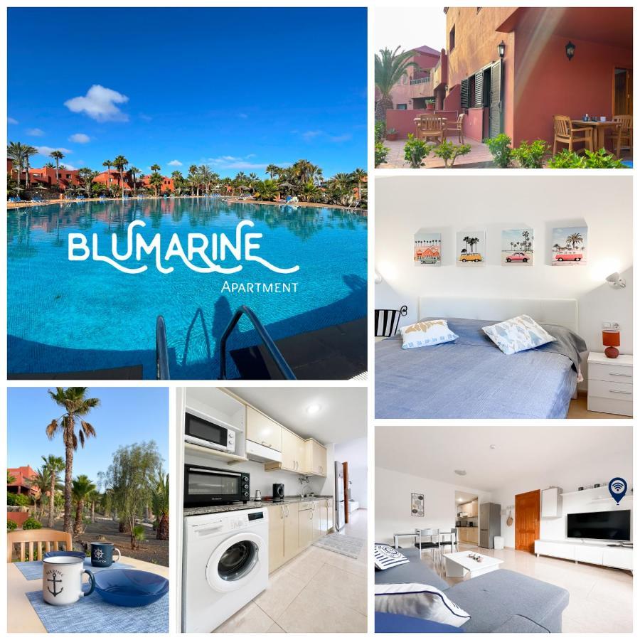 Apartmán Tamarindo Blumarine - Pool & Wifi Free 4 Persons Corralejo Exteriér fotografie