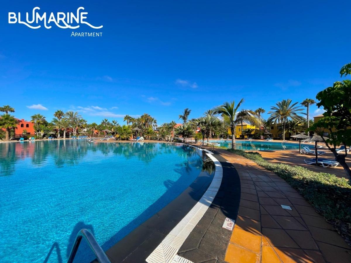Apartmán Tamarindo Blumarine - Pool & Wifi Free 4 Persons Corralejo Exteriér fotografie