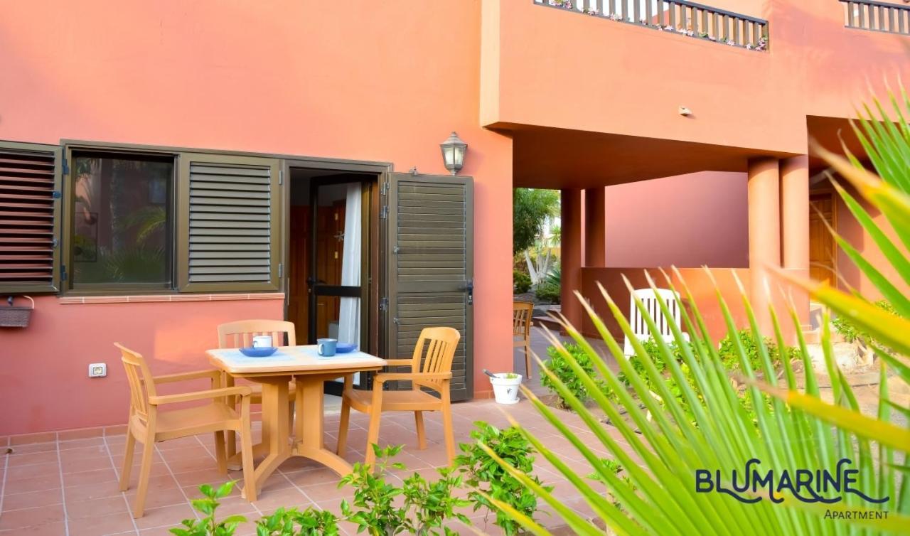 Apartmán Tamarindo Blumarine - Pool & Wifi Free 4 Persons Corralejo Exteriér fotografie