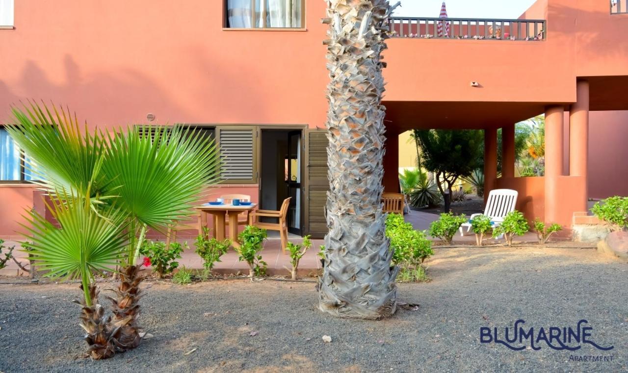 Apartmán Tamarindo Blumarine - Pool & Wifi Free 4 Persons Corralejo Exteriér fotografie