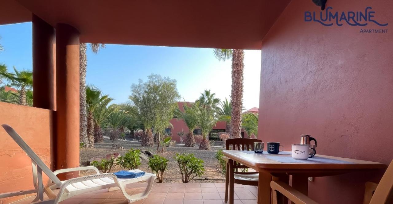 Apartmán Tamarindo Blumarine - Pool & Wifi Free 4 Persons Corralejo Exteriér fotografie