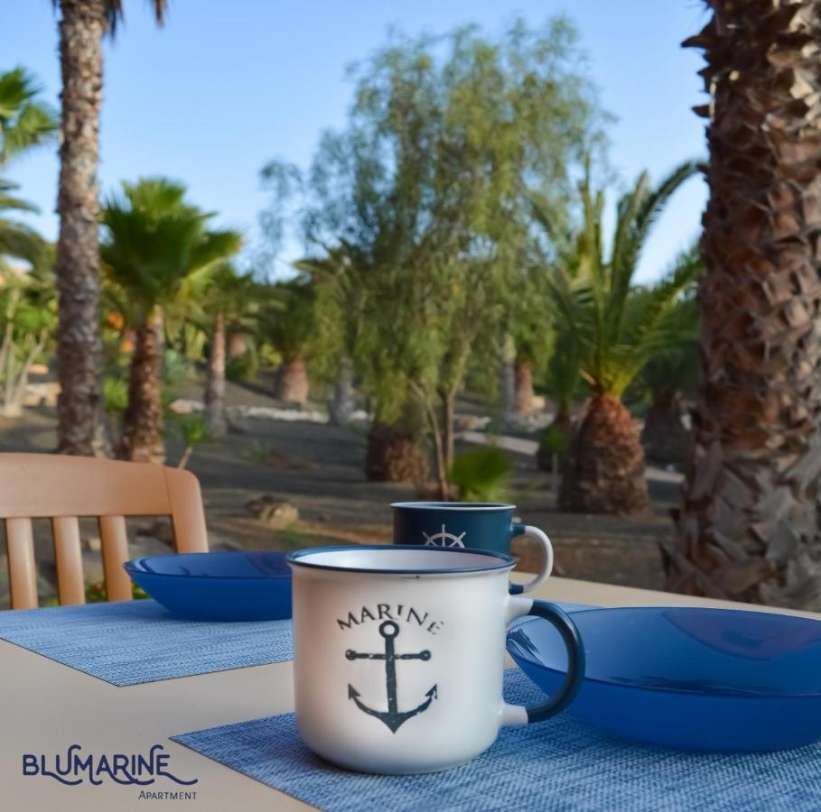 Apartmán Tamarindo Blumarine - Pool & Wifi Free 4 Persons Corralejo Exteriér fotografie