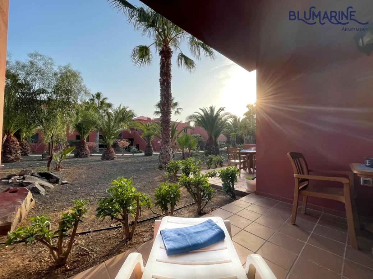 Apartmán Tamarindo Blumarine - Pool & Wifi Free 4 Persons Corralejo Exteriér fotografie