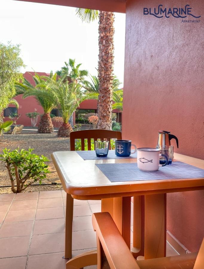 Apartmán Tamarindo Blumarine - Pool & Wifi Free 4 Persons Corralejo Exteriér fotografie