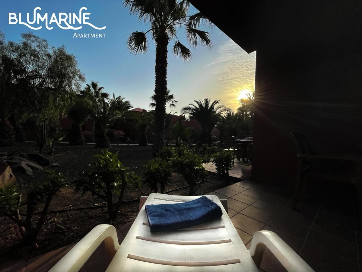 Apartmán Tamarindo Blumarine - Pool & Wifi Free 4 Persons Corralejo Exteriér fotografie