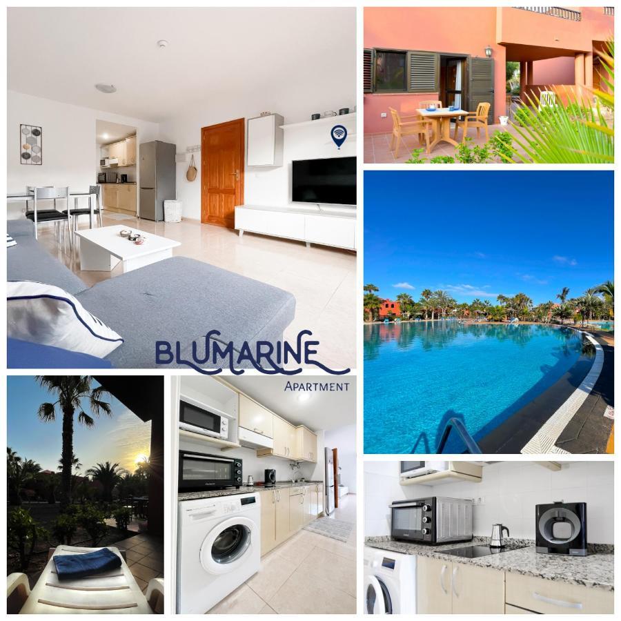 Apartmán Tamarindo Blumarine - Pool & Wifi Free 4 Persons Corralejo Exteriér fotografie