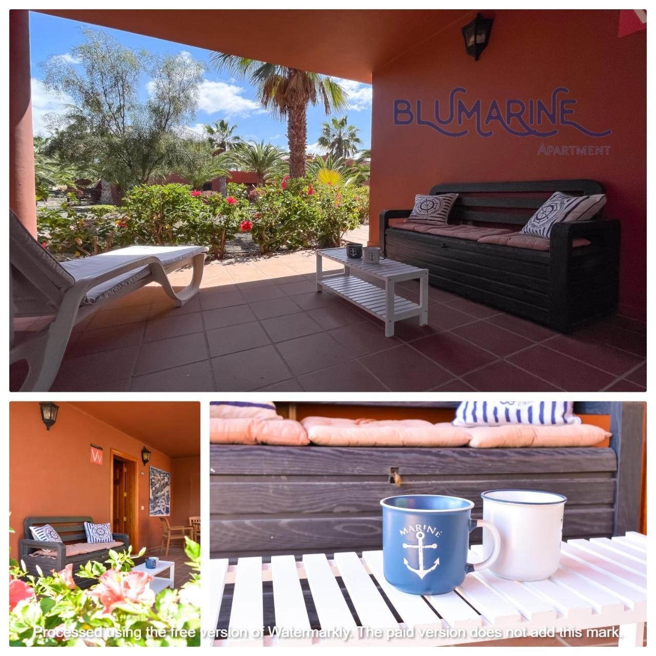 Apartmán Tamarindo Blumarine - Pool & Wifi Free 4 Persons Corralejo Exteriér fotografie