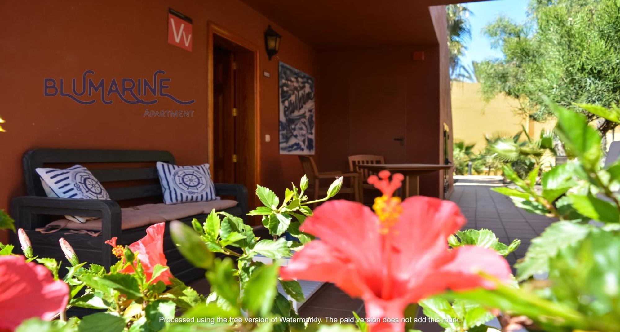 Apartmán Tamarindo Blumarine - Pool & Wifi Free 4 Persons Corralejo Exteriér fotografie