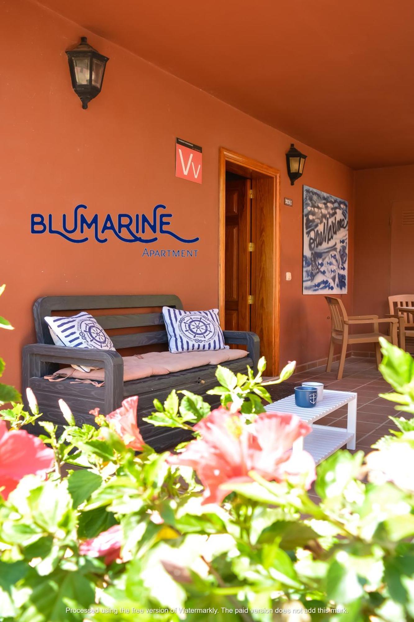 Apartmán Tamarindo Blumarine - Pool & Wifi Free 4 Persons Corralejo Exteriér fotografie